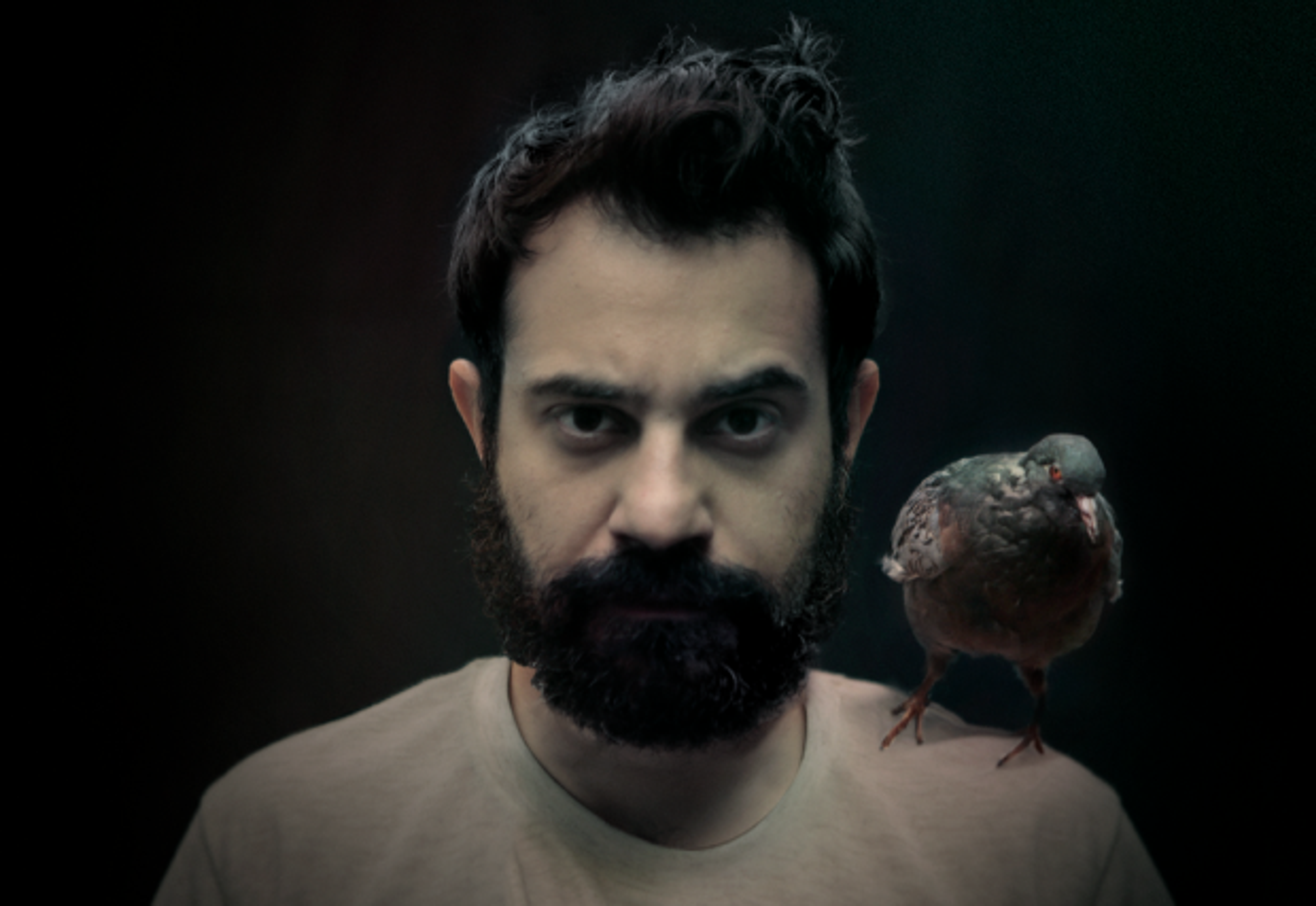 Nico Casavecchia