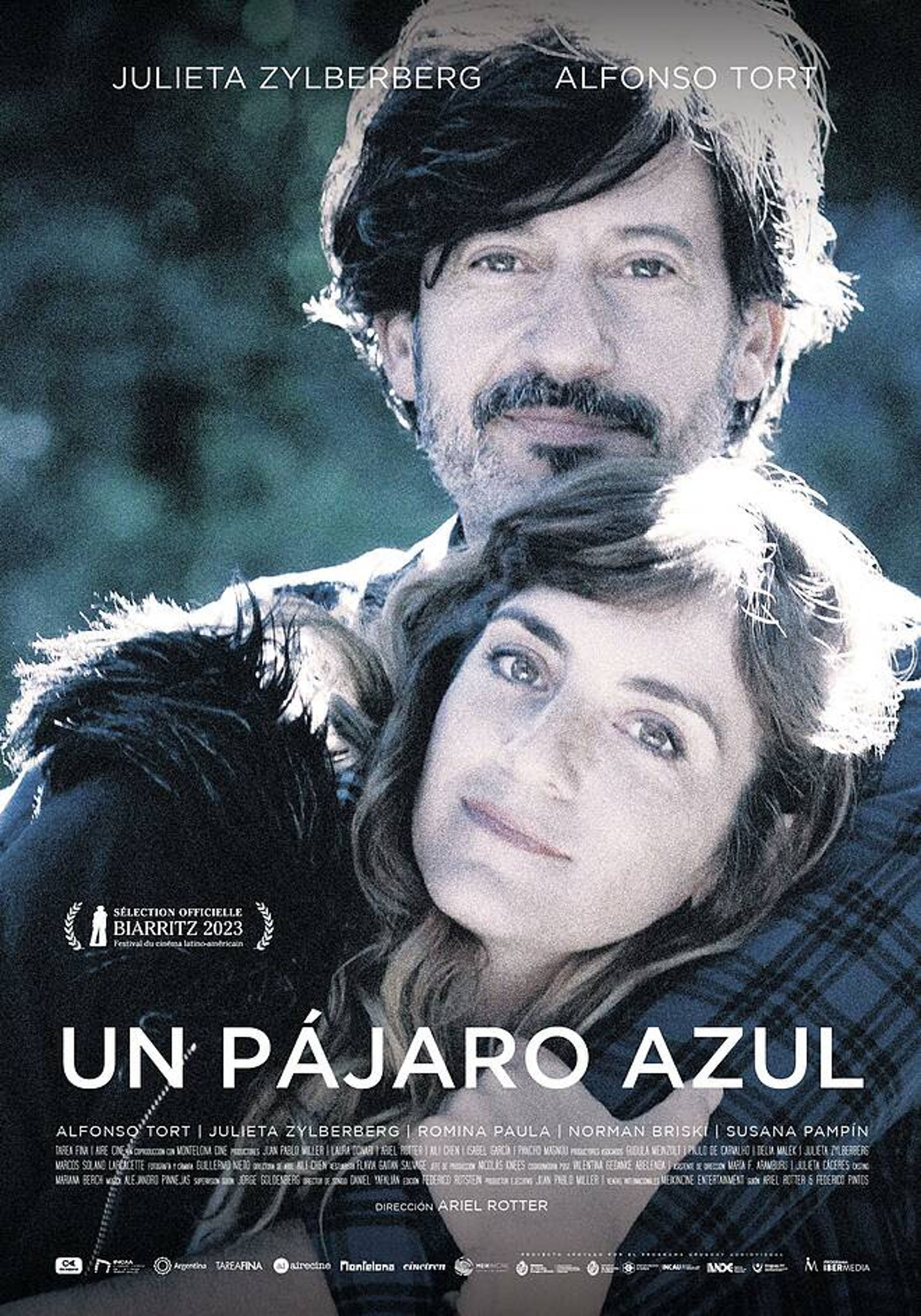 Un pájaro azul