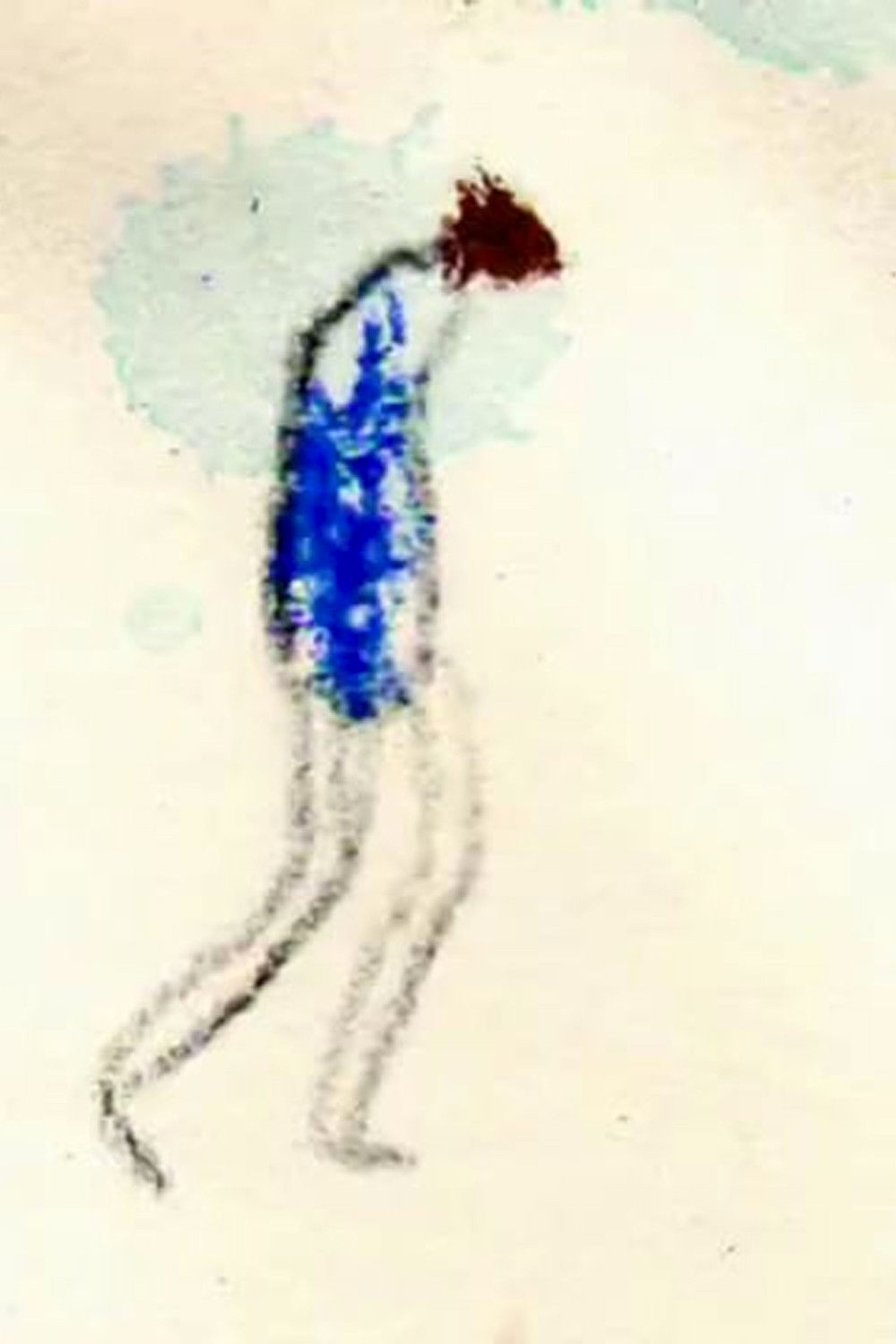 Poster de Aníbal