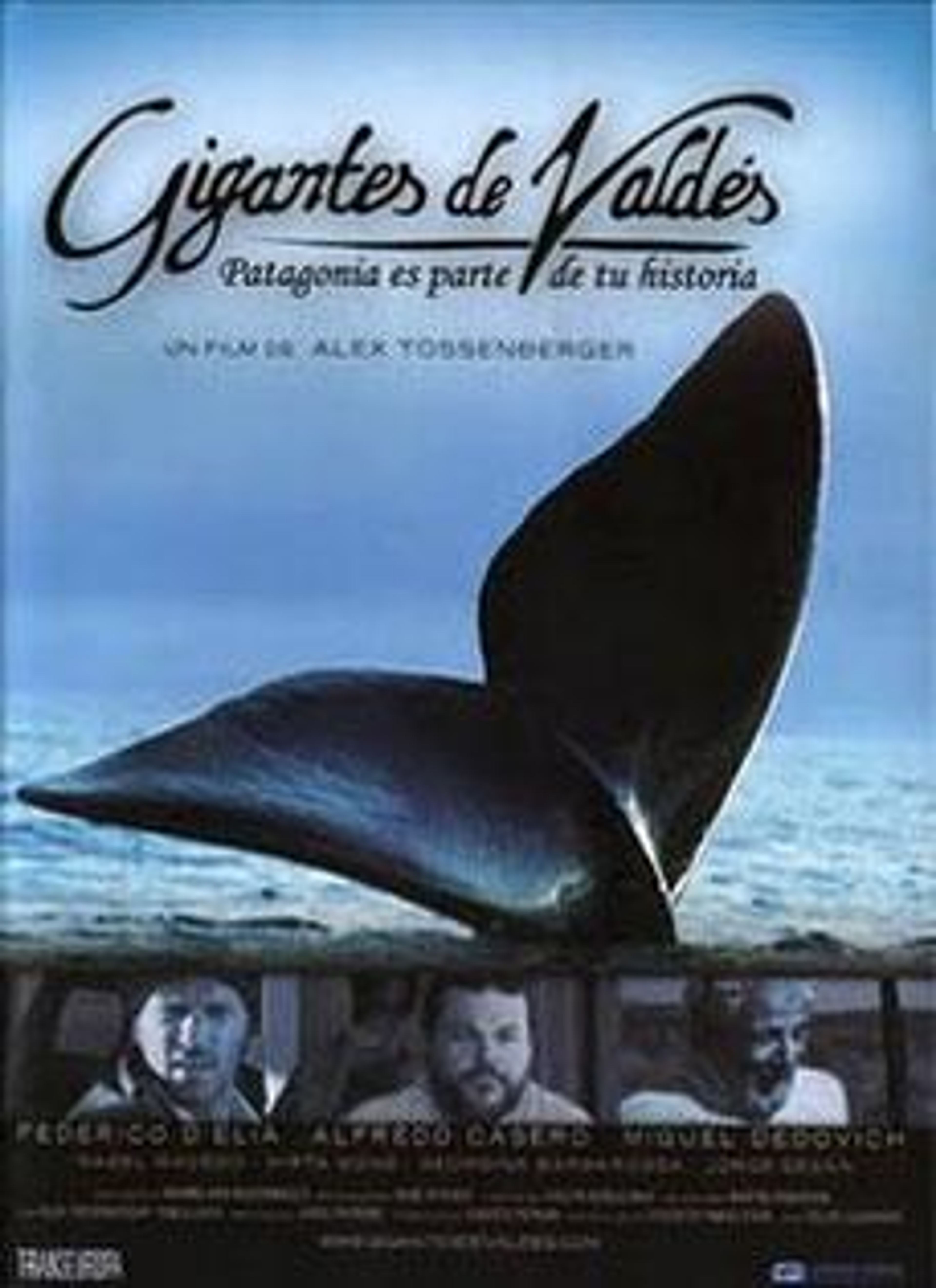 Gigantes de Valdés