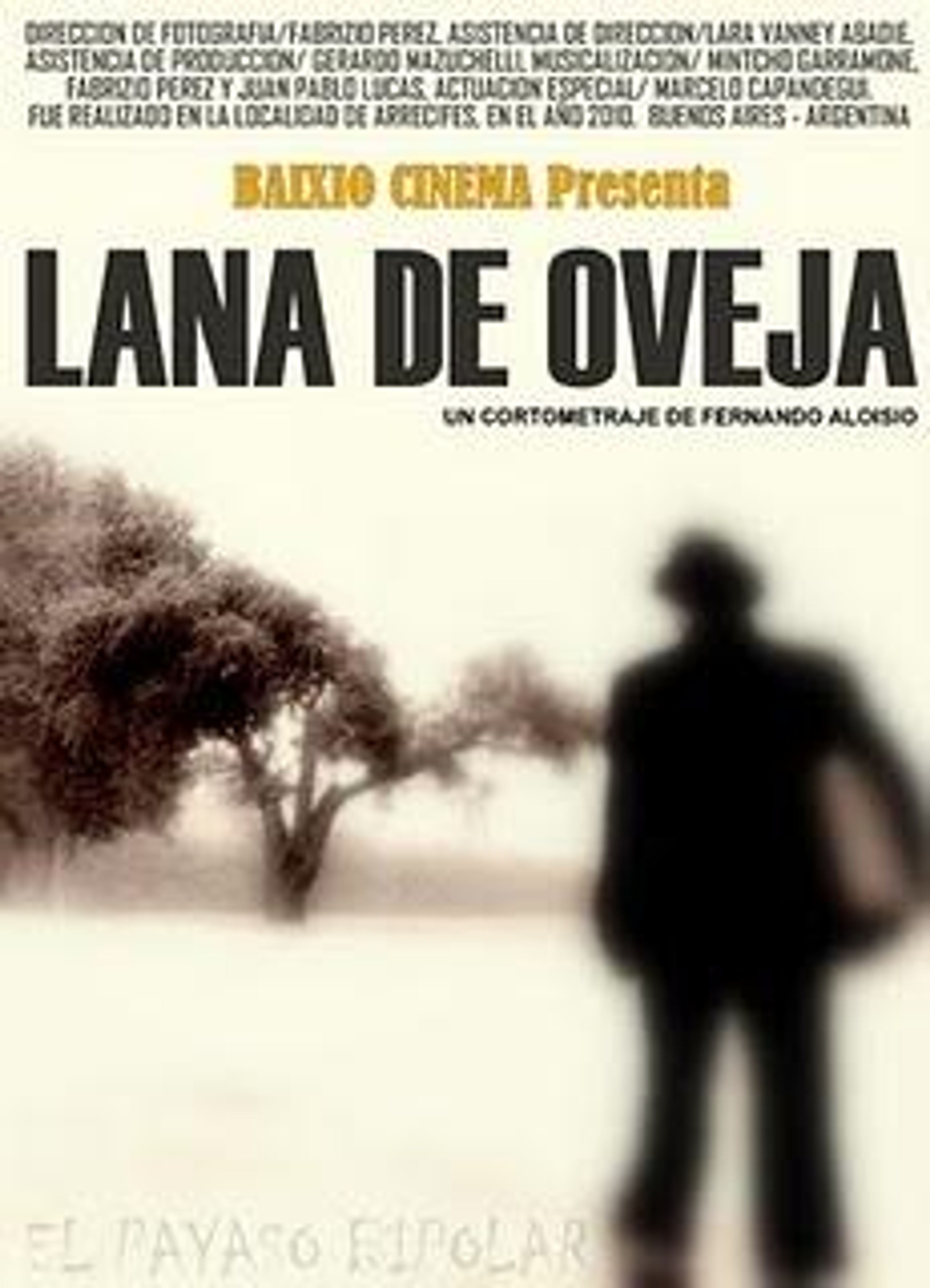 Lana de oveja
